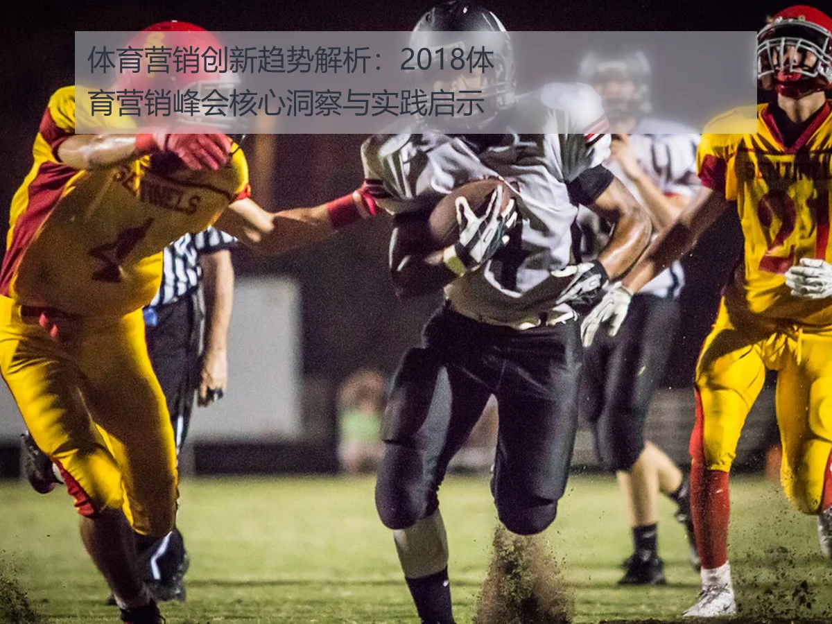 体育营销峰会2018回顾：行业趋势与赛事合作深度分析